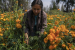 Mexico City's floating gardens have fed people for hundreds of years. Now they're threatened