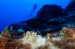 Most sunscreens harm corals. Here's what you can do